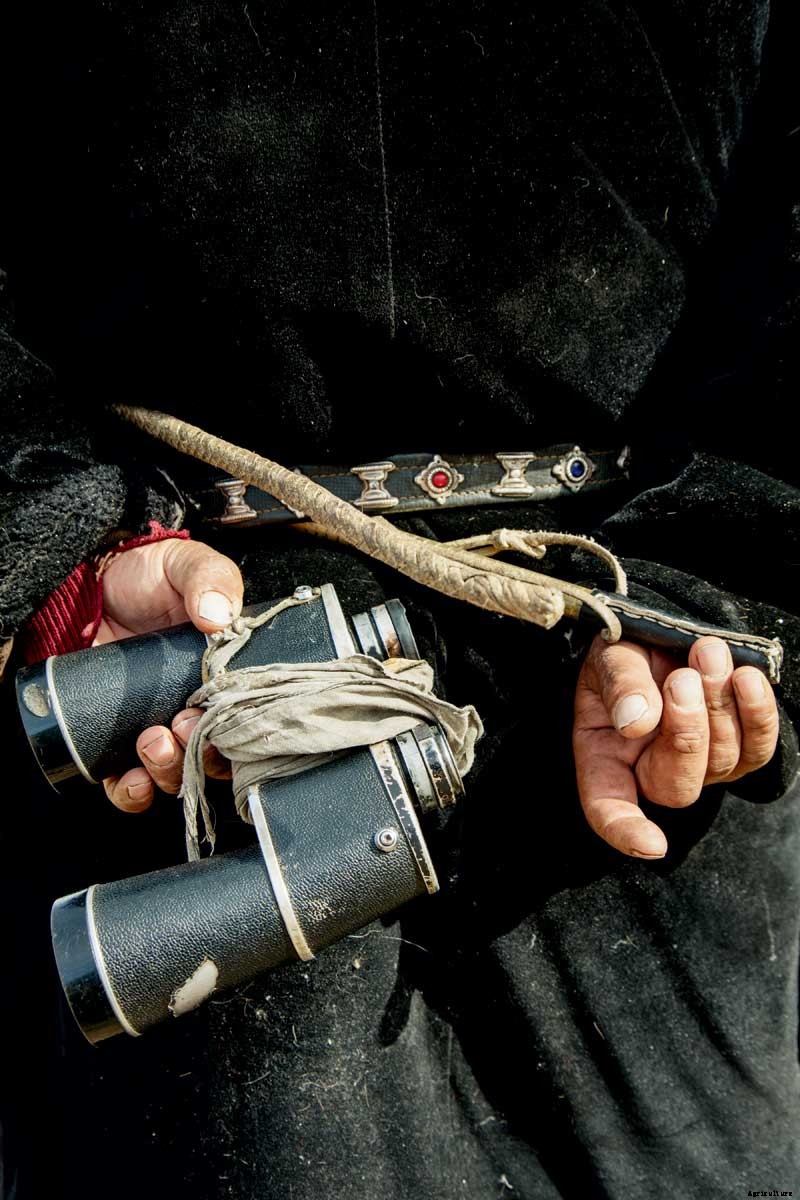 Photo Essay: The Eagle Hunters of Mongolia