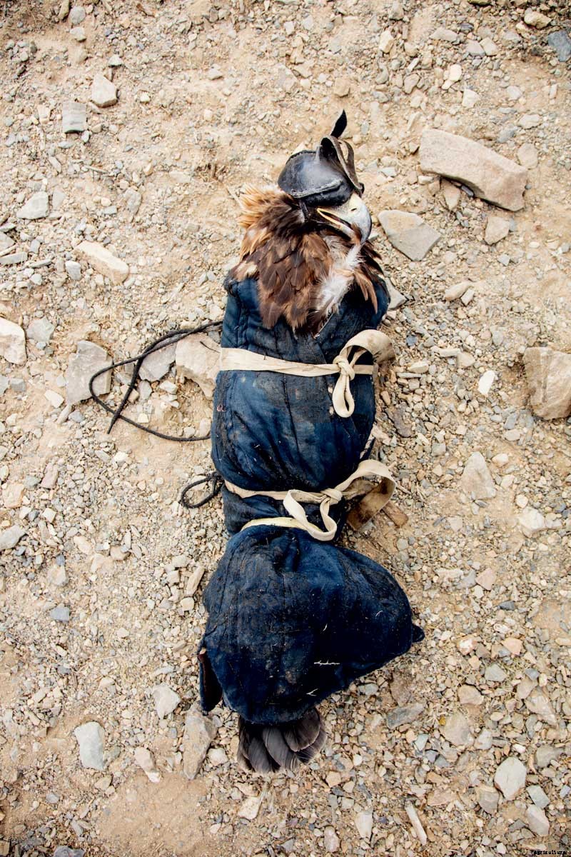 Photo Essay: The Eagle Hunters of Mongolia