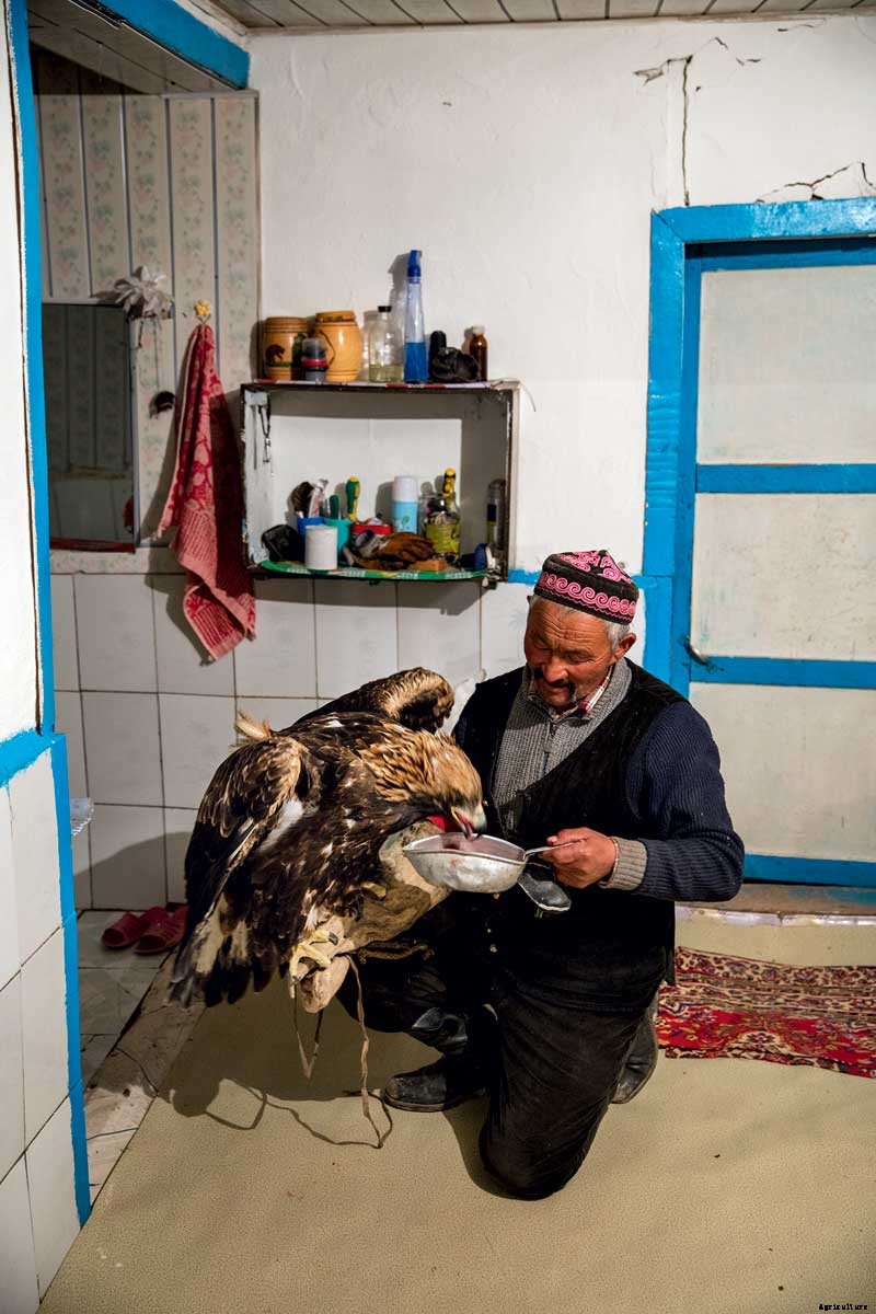 Photo Essay: The Eagle Hunters of Mongolia