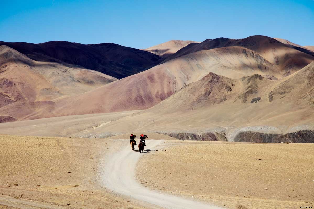 Photo Essay: The Eagle Hunters of Mongolia