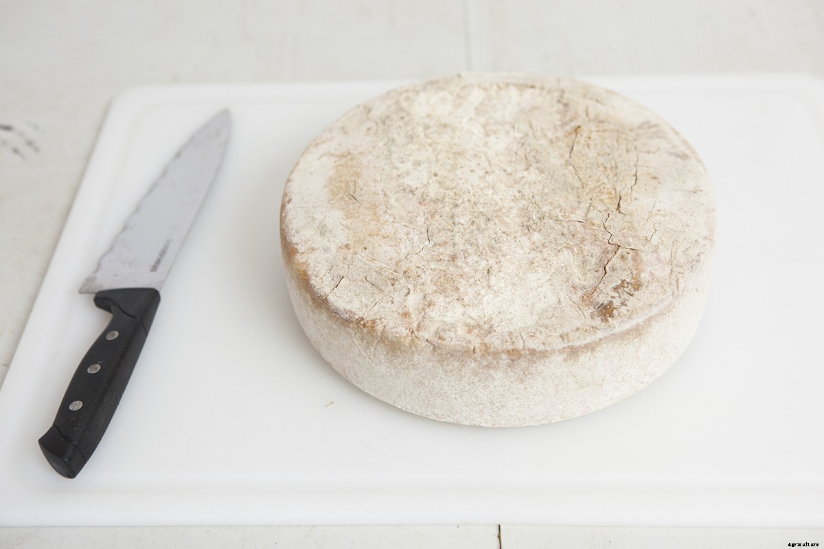 Photo Essay: Kidding Season at Connecticut’s Beltane Farm