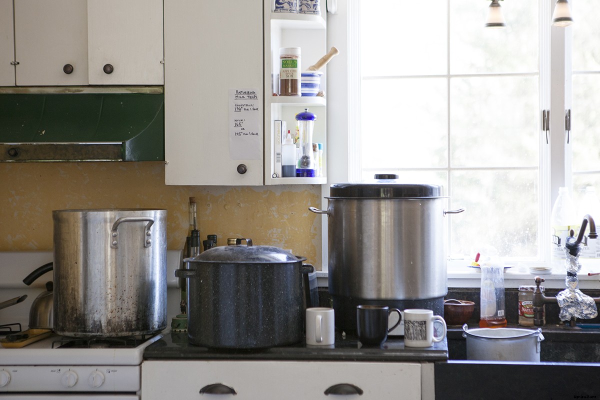 Photo Essay: Kidding Season at Connecticut’s Beltane Farm