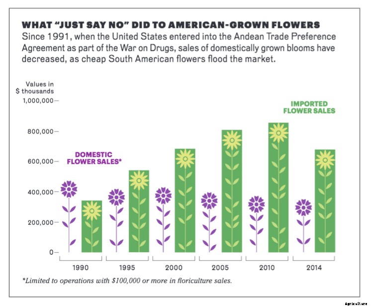 A Flower-Farming Renaissance: America’s Slow Flower Movement