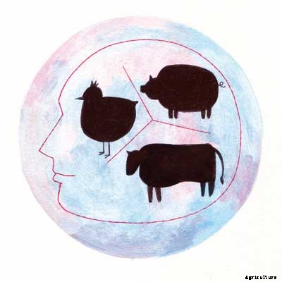 Carbon Farming: Hope for a Hot Planet