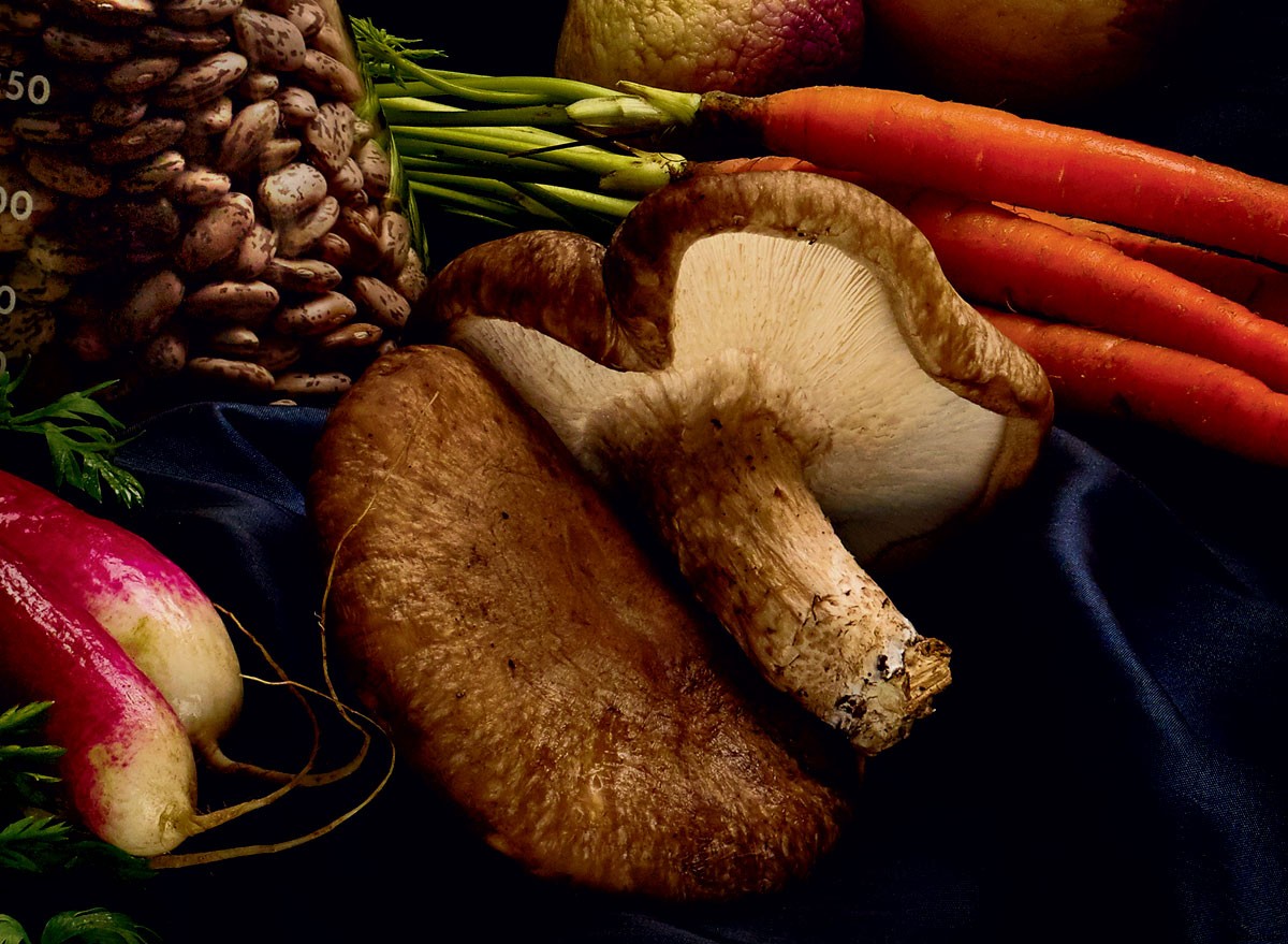 Still Life with Mass Hysteria: Are GMOs Really That Bad?