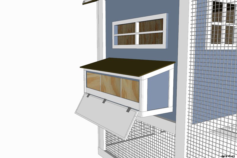 Coop Dreams: The 3 Key Features of Chicken Coop Plans