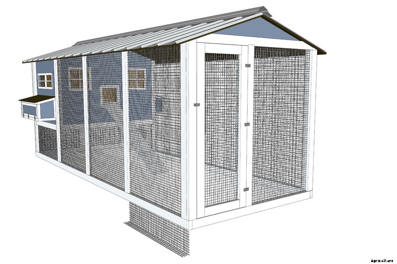 Coop Dreams: The 3 Key Features of Chicken Coop Plans