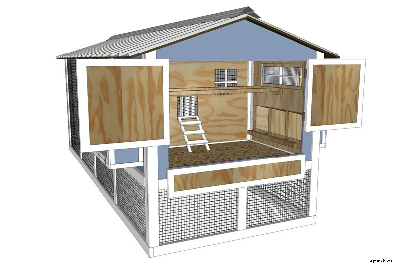 Coop Dreams: The 3 Key Features of Chicken Coop Plans