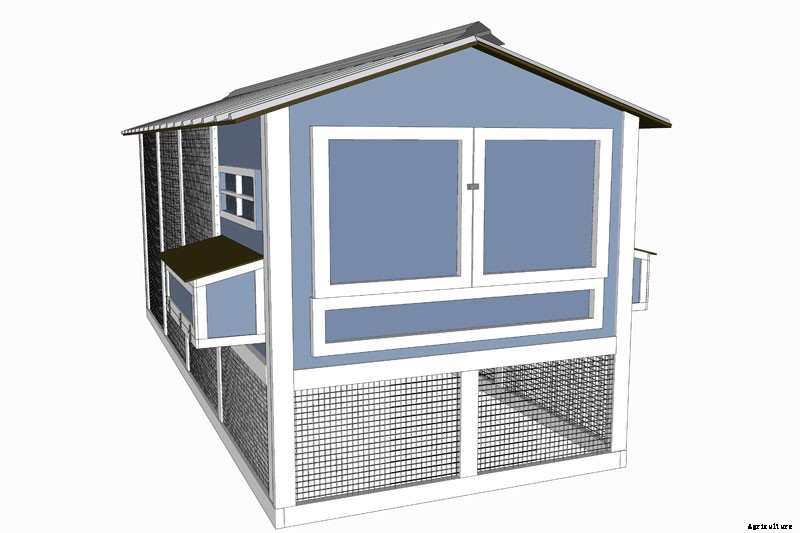Coop Dreams: The 3 Key Features of Chicken Coop Plans