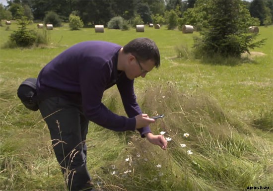 Smartphone App Hopes To Be The “Shazam For Plants”