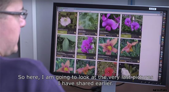 Smartphone App Hopes To Be The “Shazam For Plants”