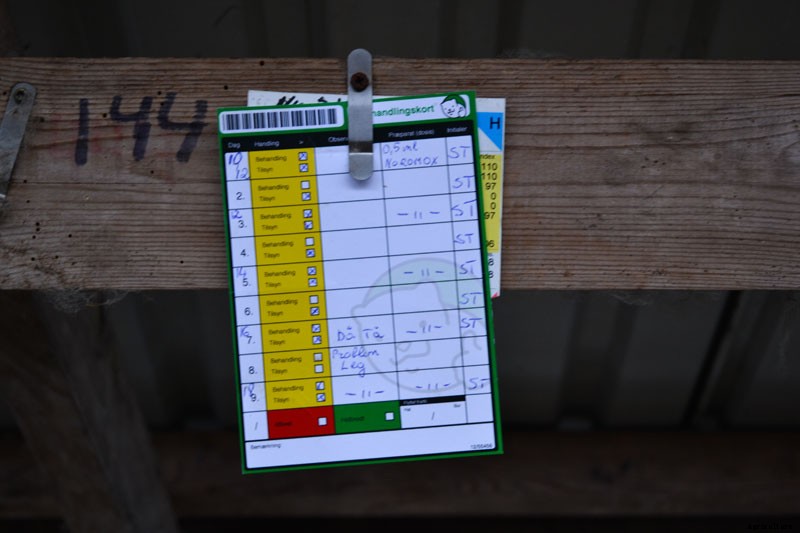 Mink on the Brink: The Troubles Facing Fur Farmers in Denmark