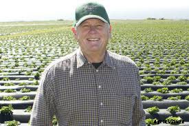 Strawberries + Pesticides: How California’s Farmers are Looking for New Solutions