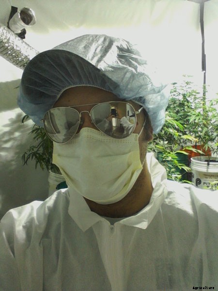 Farm Confessional: From Pot Smoker to Pot Farmer