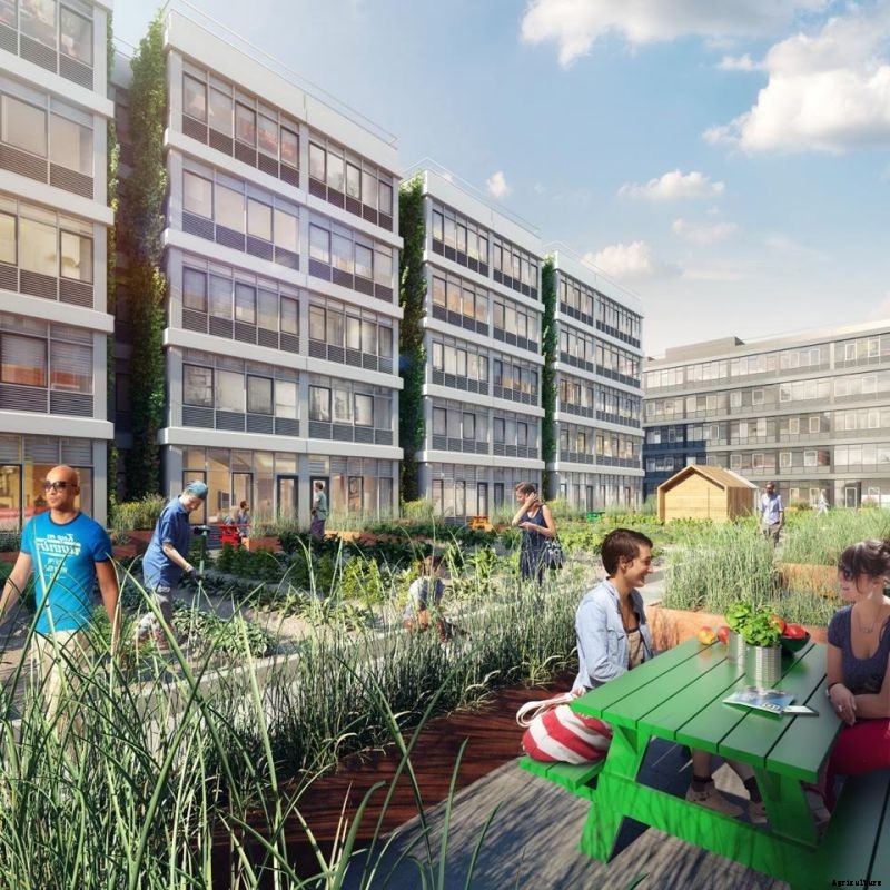 Fun Job Alert: Apply to be a Farmer-In-Residence On Staten Island