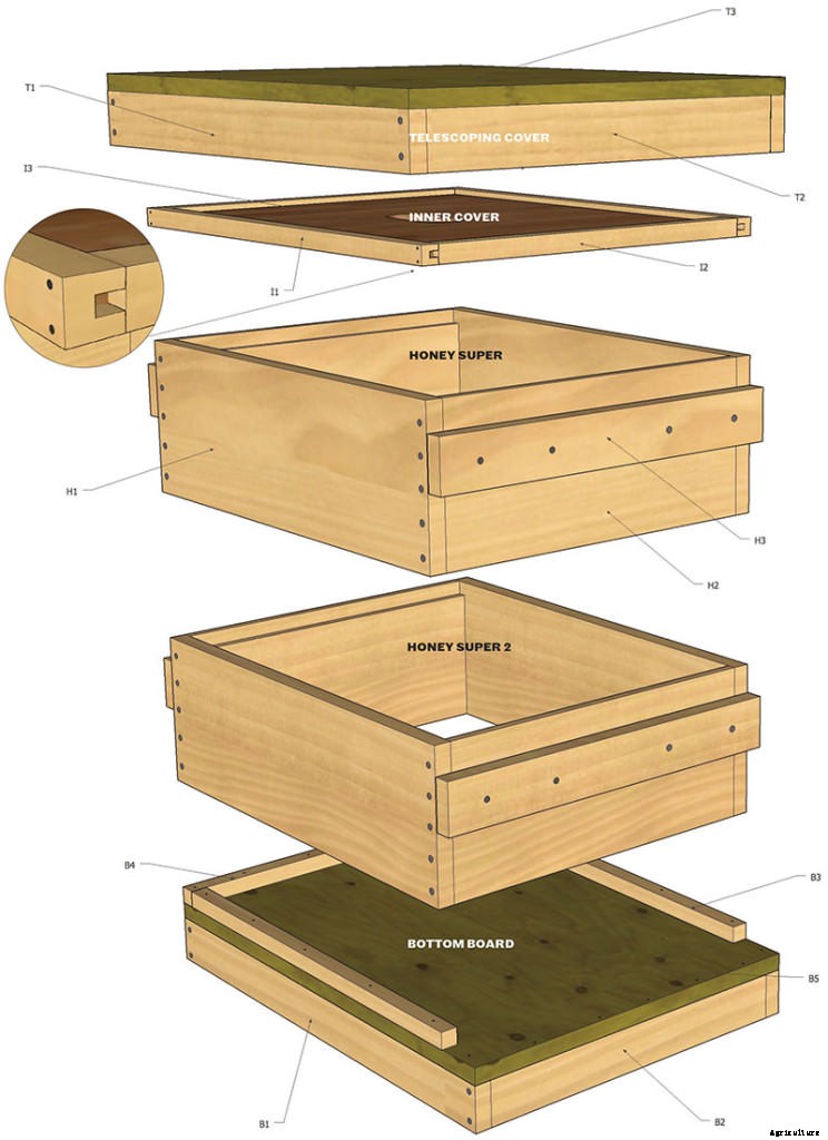 How to Build a Better Beehive