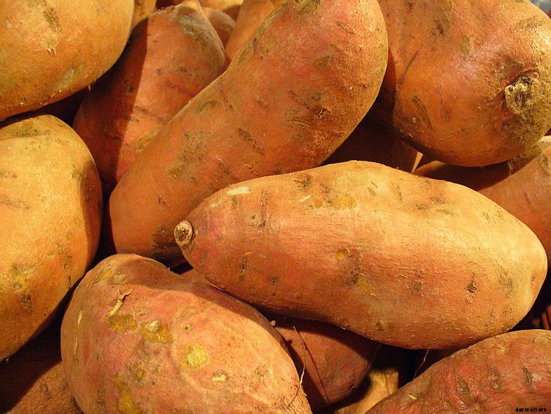 A Guide to the Roots and Tubers You Didn’t Know You Loved