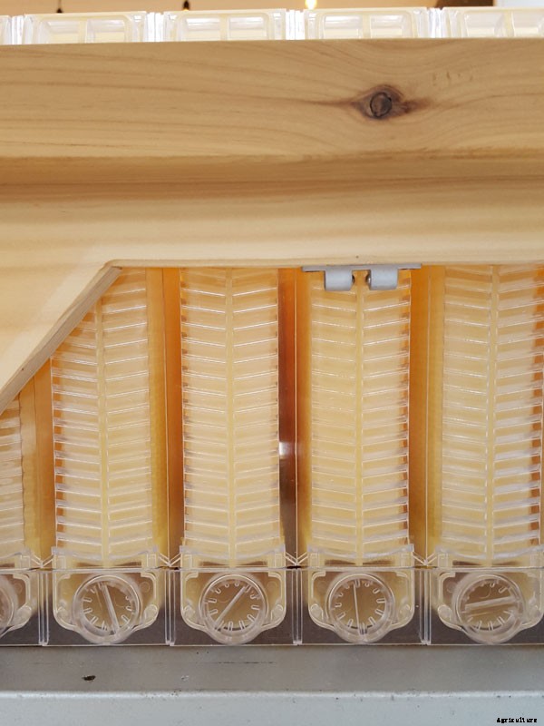 He Said, She Said, They Said: What’s the Final Verdict on the Wildly Popular Flow Hive?
