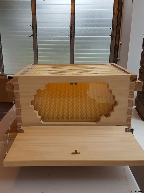 He Said, She Said, They Said: What’s the Final Verdict on the Wildly Popular Flow Hive?