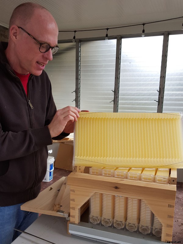 He Said, She Said, They Said: What’s the Final Verdict on the Wildly Popular Flow Hive?