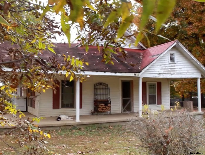 Wait, Who’s Selling This Tennessee Farmhouse? A Horse, of Course!
