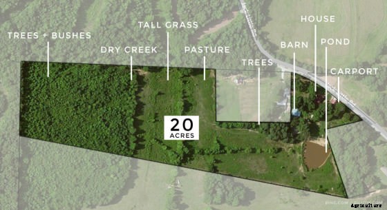 Wait, Who’s Selling This Tennessee Farmhouse? A Horse, of Course!