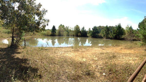 Wait, Who’s Selling This Tennessee Farmhouse? A Horse, of Course!