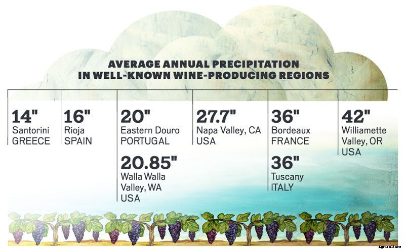 The Benefits of Dry-Farming Wine”For the Palate and the Planet