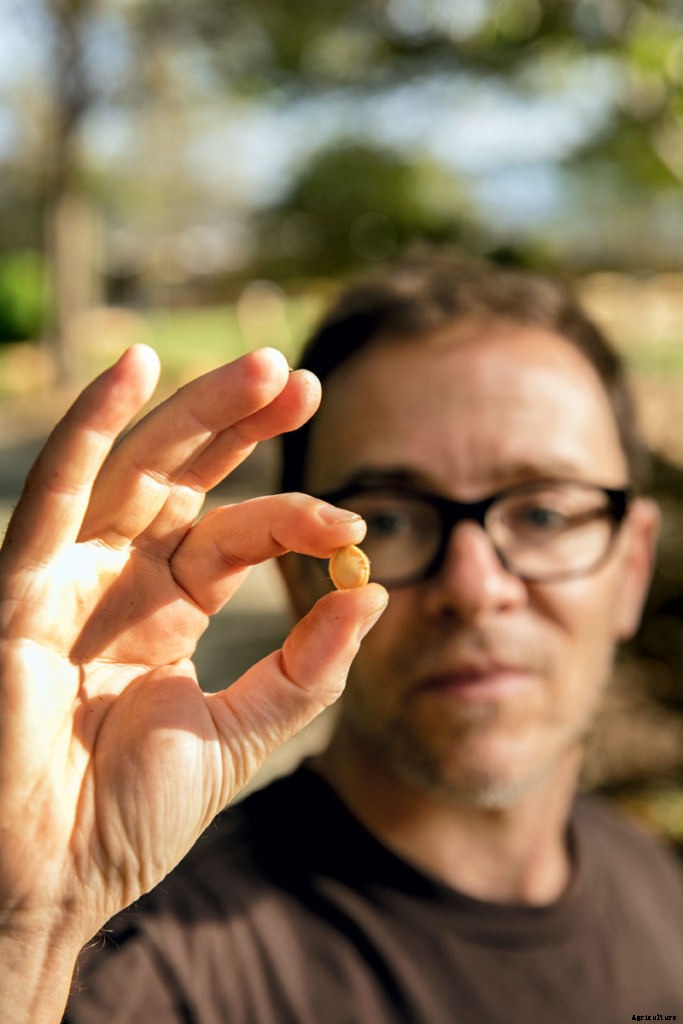 The Outsize Importance of the Tiny Organic Seed