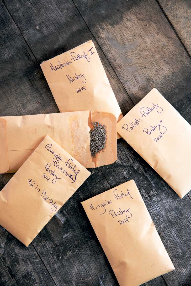 The Outsize Importance of the Tiny Organic Seed