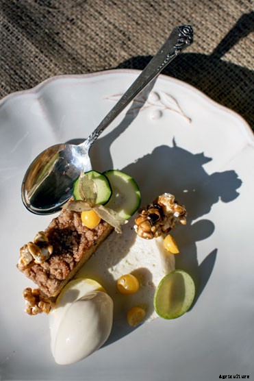 The Outsize Importance of the Tiny Organic Seed