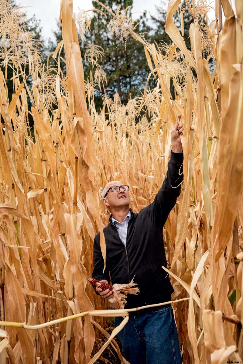 The Outsize Importance of the Tiny Organic Seed