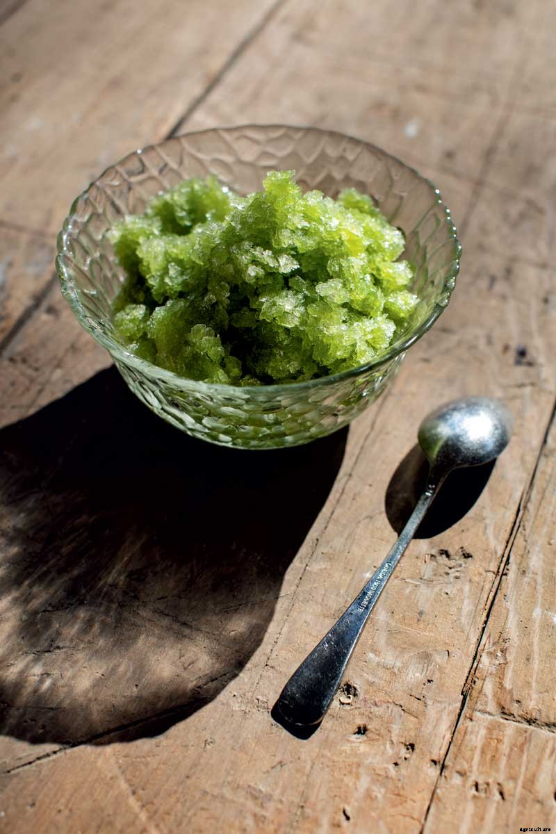 The Outsize Importance of the Tiny Organic Seed