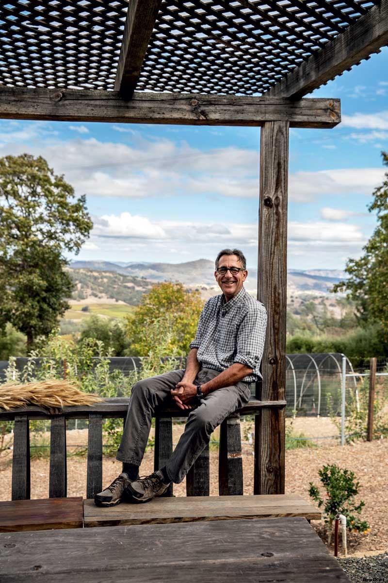 The Outsize Importance of the Tiny Organic Seed