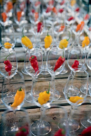 The Outsize Importance of the Tiny Organic Seed