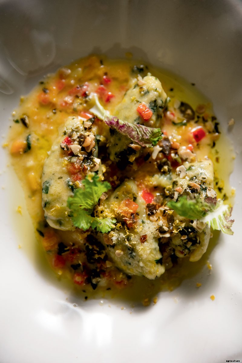 The Outsize Importance of the Tiny Organic Seed