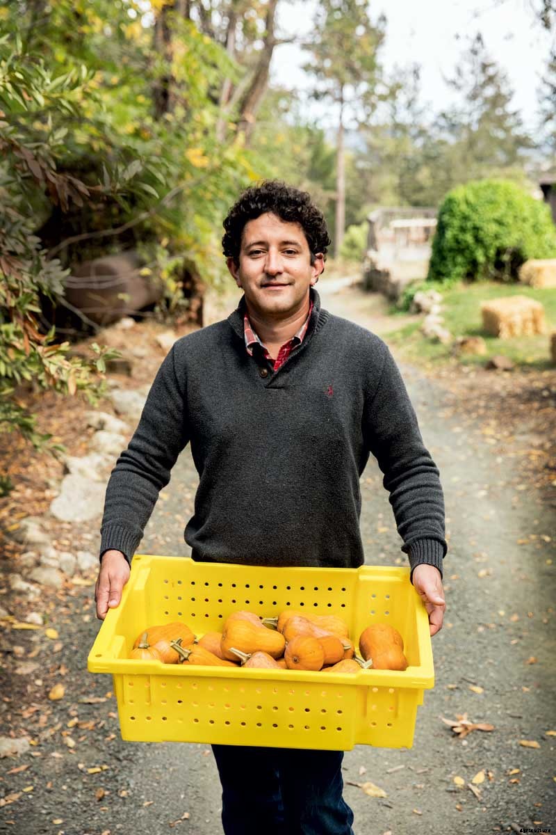 The Outsize Importance of the Tiny Organic Seed