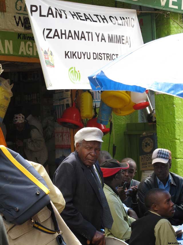 How Kenya’s Betting on Plant Clinics to Help Feed Their Country