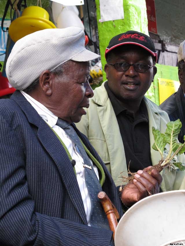 How Kenya’s Betting on Plant Clinics to Help Feed Their Country