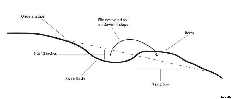 How to Build a Bio-Swale (and Why You Should Want To!)