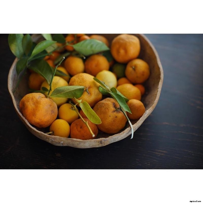 Meet Modern Farmer’s Guest Instagrammer: Agrarian Photographer Stephen Smith