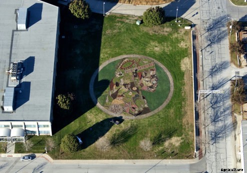 Meet Stan Herd, the Man Who Turns Agriculture into Amazing Works of Art