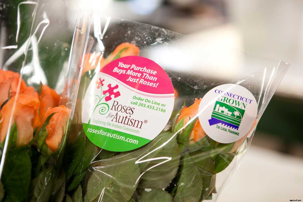 Roses for Autism: How a Farm was Saved and a Vital Need Filled