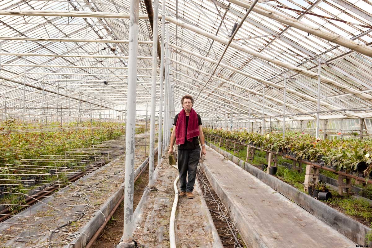 Roses for Autism: How a Farm was Saved and a Vital Need Filled