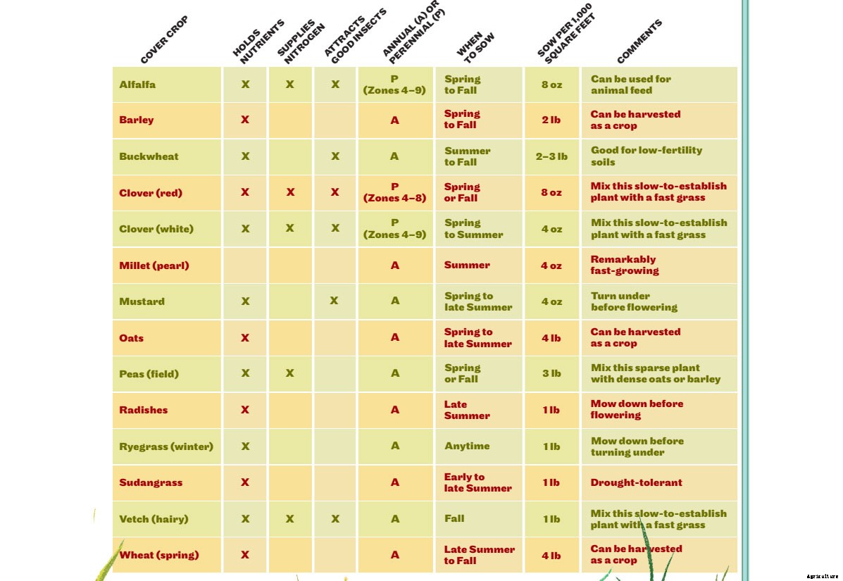 How to Choose a Cover Crop