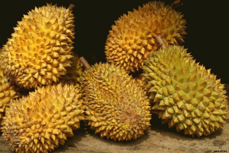 7 Fruits That Look Like One Thing, But Taste Like Another