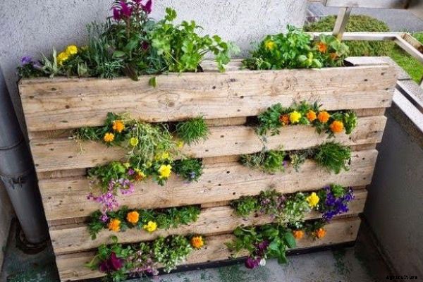 How to Make a Pallet Garden