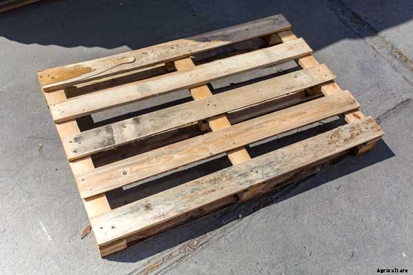 How to Make a Pallet Garden