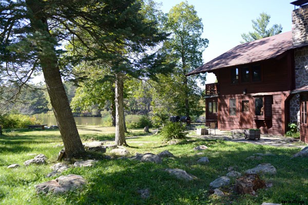 At This New Jersey Farm, Alpacas Help the Mentally Ill