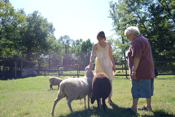 At This New Jersey Farm, Alpacas Help the Mentally Ill